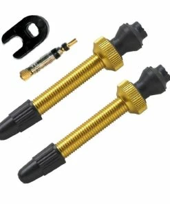 Barbieri, Ventil Alu Tubelessventil Für TL-Ready Umrüstung SV, 2er Pack, Gold